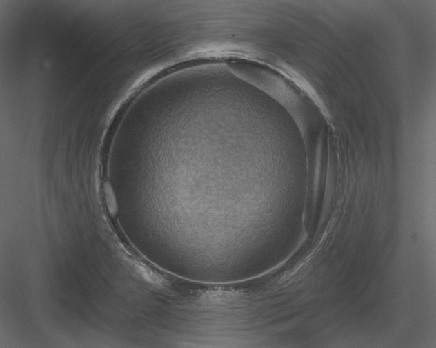 X0000083971277200702232008