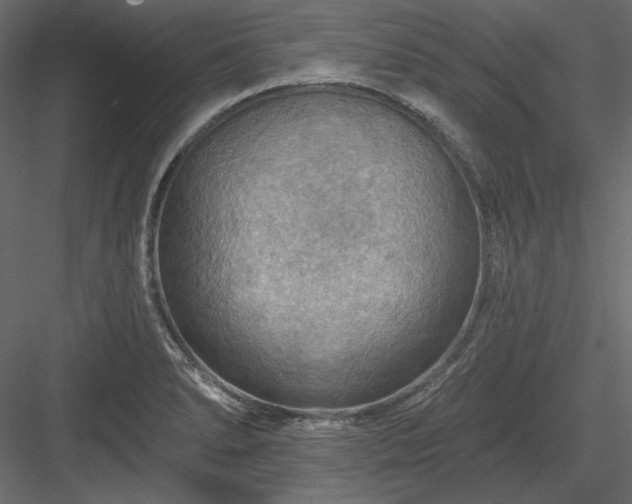 X0000083971278200702232008