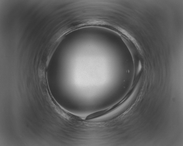 X0000083971281200702232008