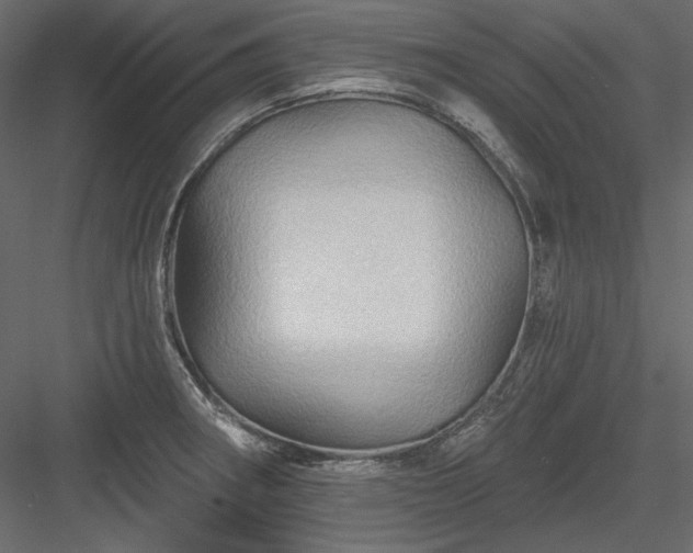 X0000083971282200702232008