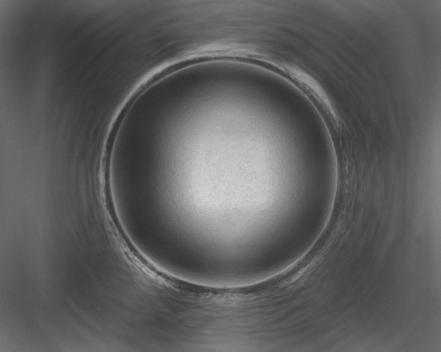 X0000083971288200702232008