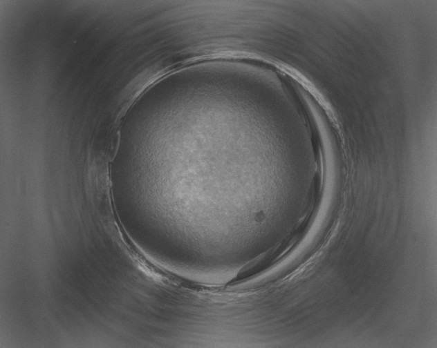 X0000083971289200702232008