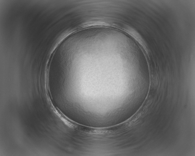 X0000083971290200702232008