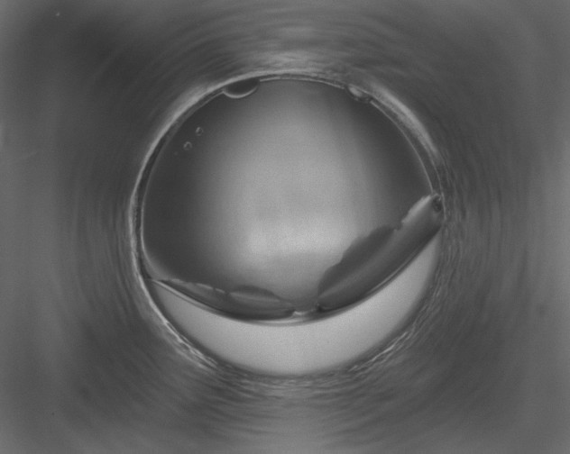 X0000083971291200702232008