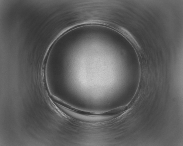 X0000083971292200702232008