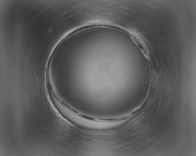 X0000083971295200702232008