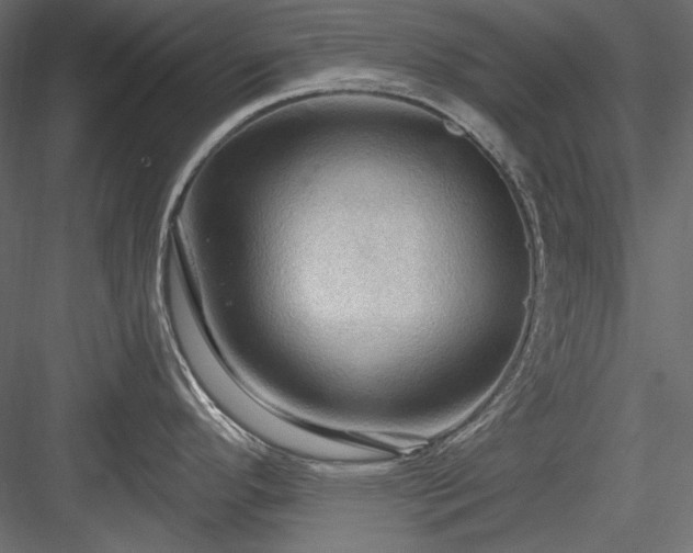 X0000083971296200702232008