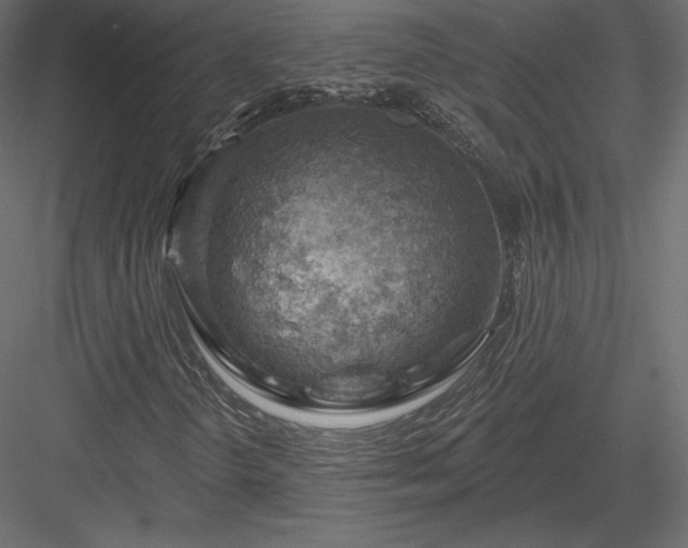 X0000083971298200702232007