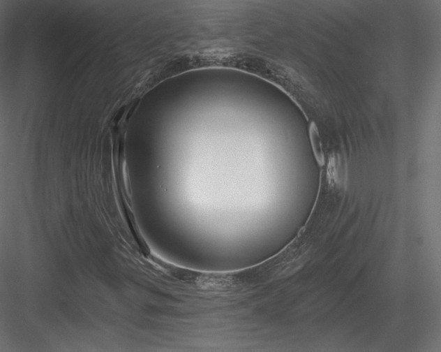 X0000083971299200702232007