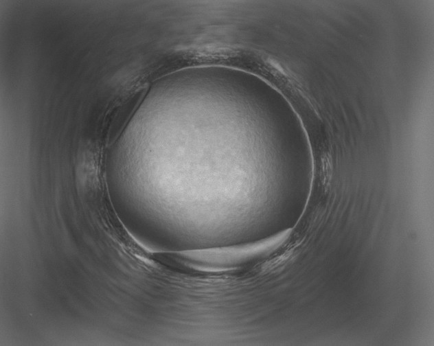 X0000083971300200702232007