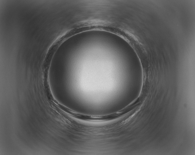 X0000083971309200702232007