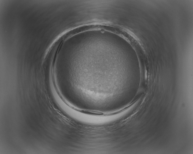 X0000083971310200702232007