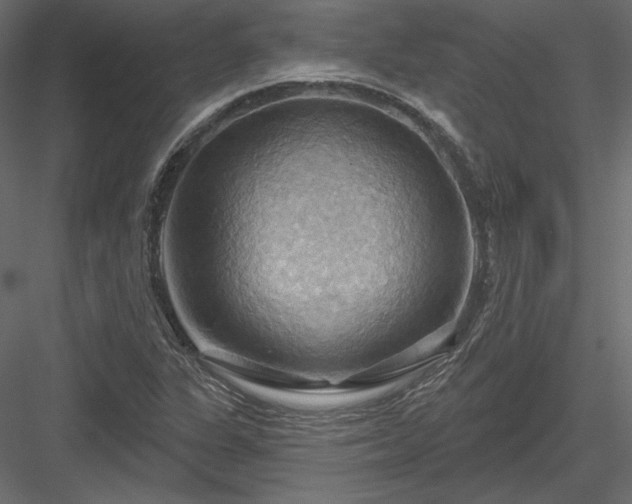 X0000083971311200702232007