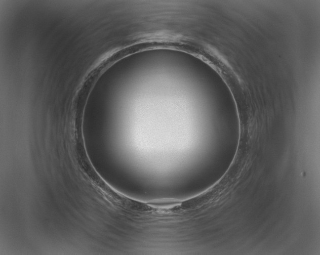 X0000083971315200702232007