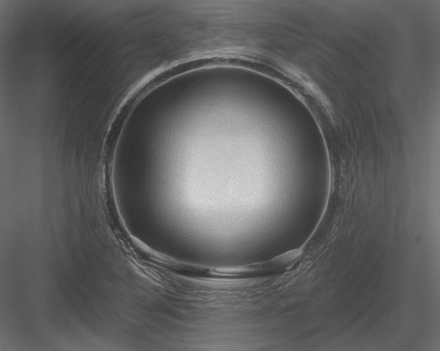 X0000083971316200702232007