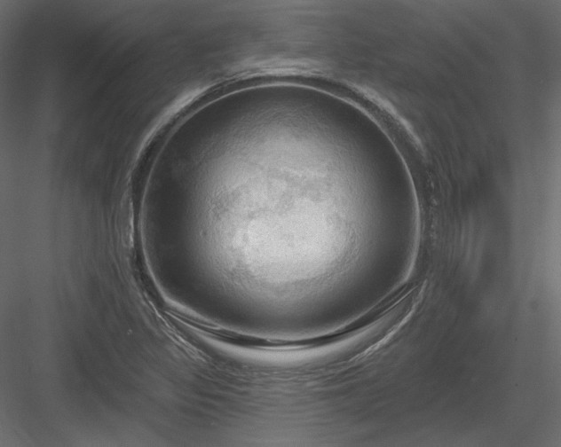 X0000083971317200702232007