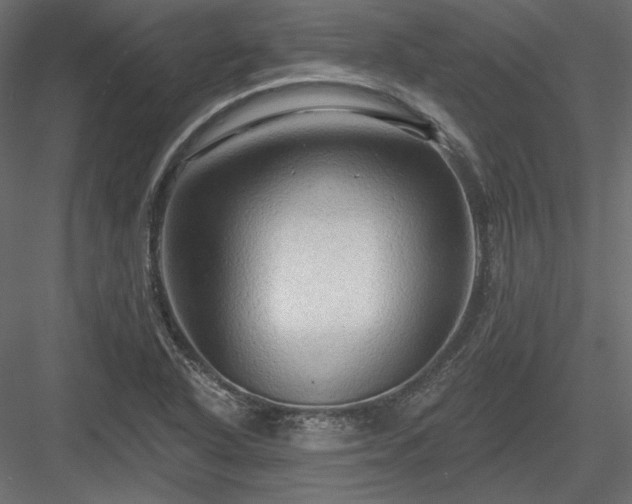 X0000083971318200702232007
