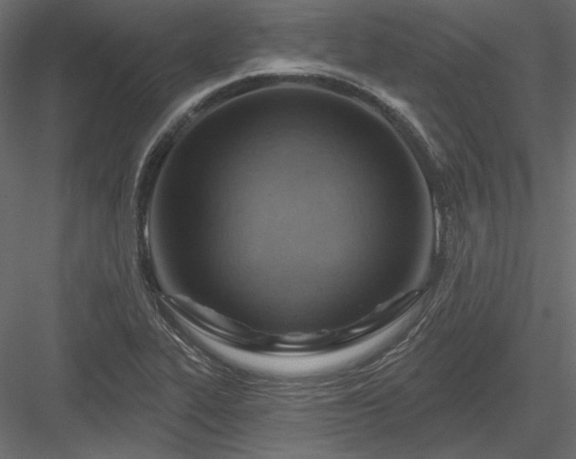 X0000083971319200702232007