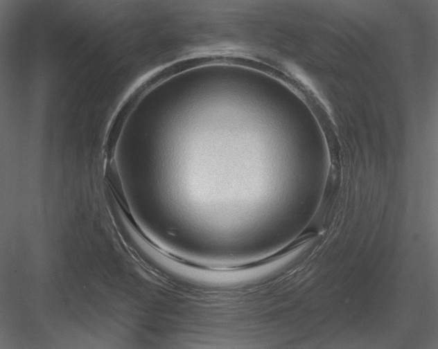 X0000083971320200702232007