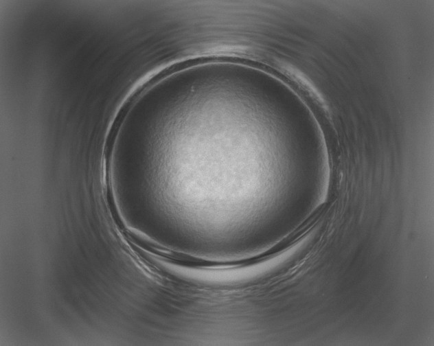 X0000083971324200702232007