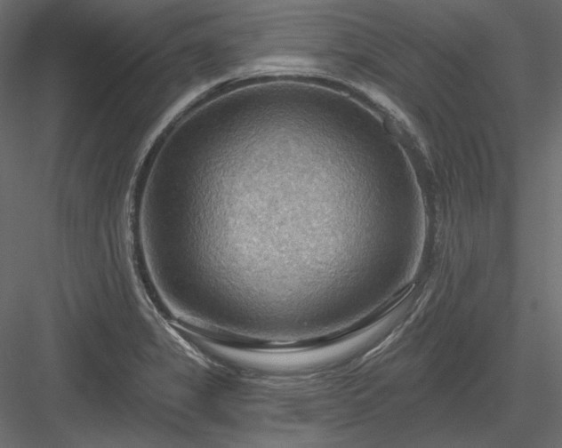 X0000083971325200702232007
