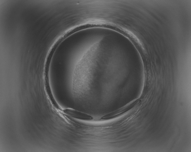 X0000083971327200702232007