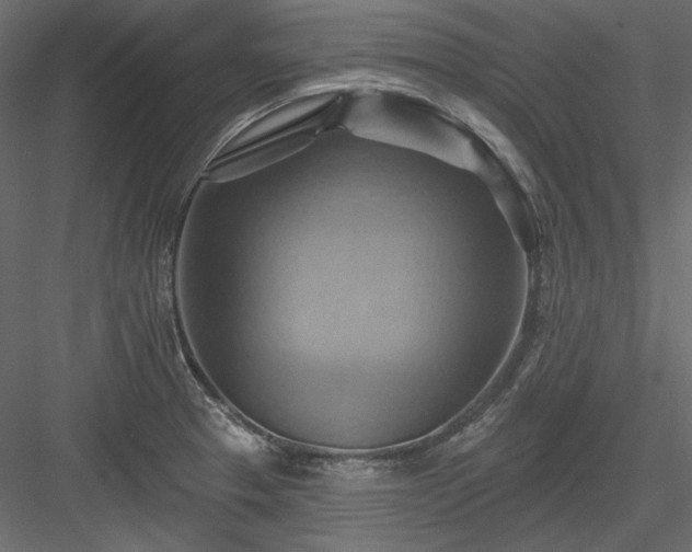 X0000083971329200702232007