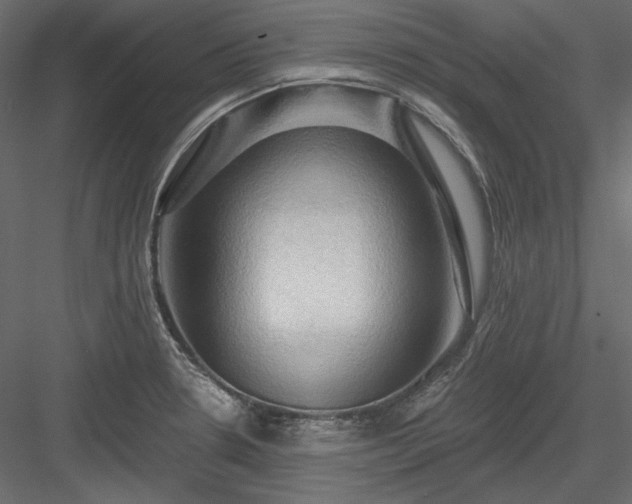 X0000083971330200702232007