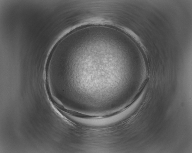 X0000083971335200702232008