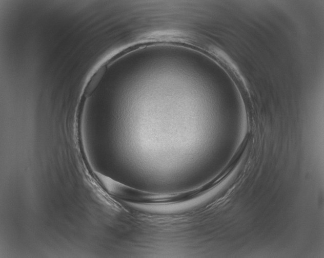X0000083971336200702232008