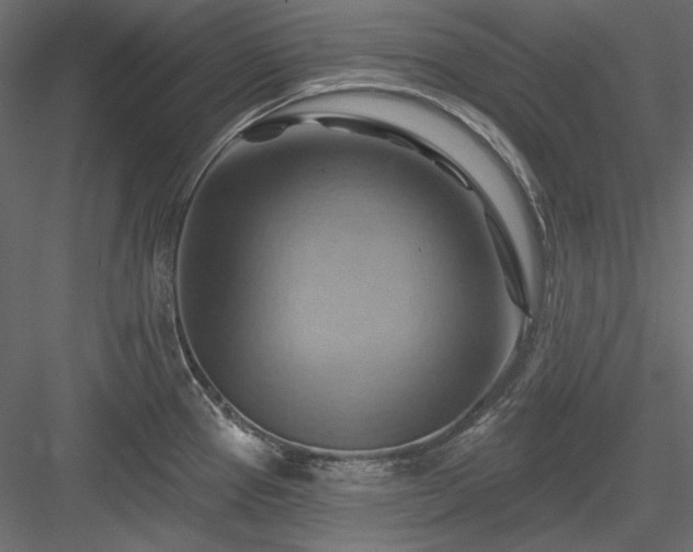 X0000083971337200702232008