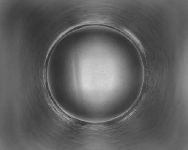 X0000083971340200702232008