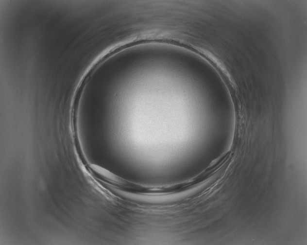 X0000083971342200702232008
