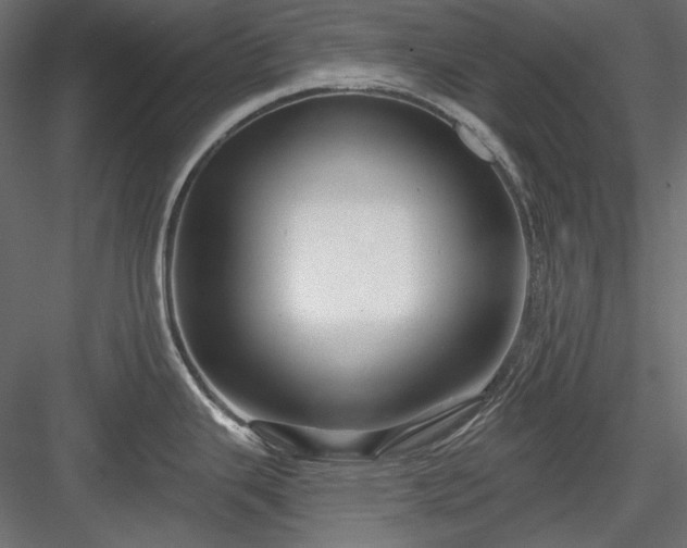 X0000083971343200702232008