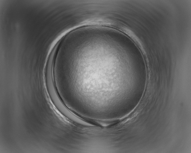 X0000083971344200702232008