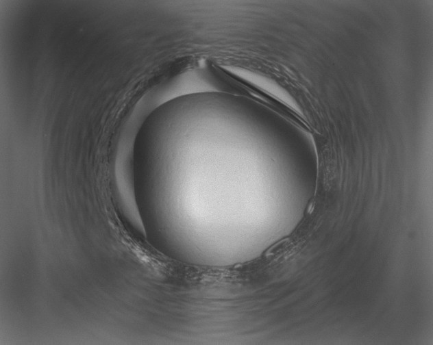 X0000083971345200702232007