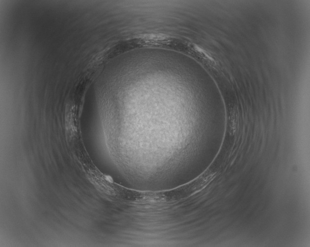 X0000083971346200702232007