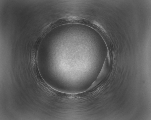 X0000083971348200702232007