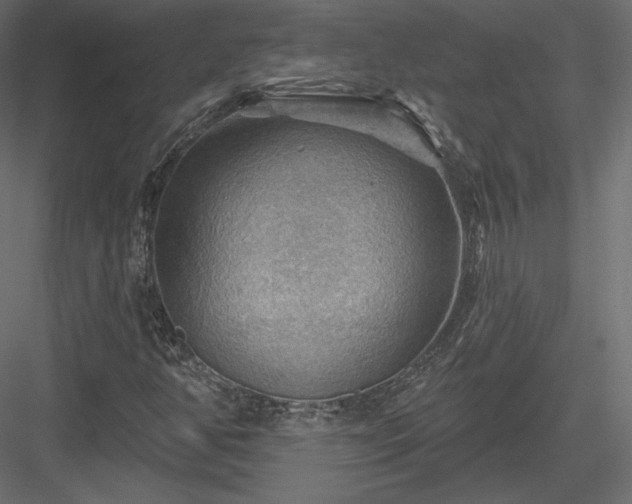 X0000083971350200702232007