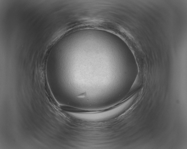 X0000083971354200702232007
