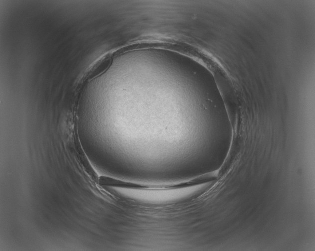 X0000083971355200702232007