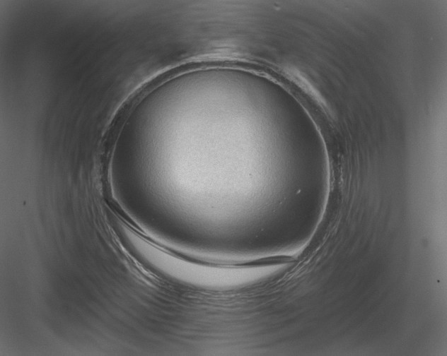 X0000083971356200702232007