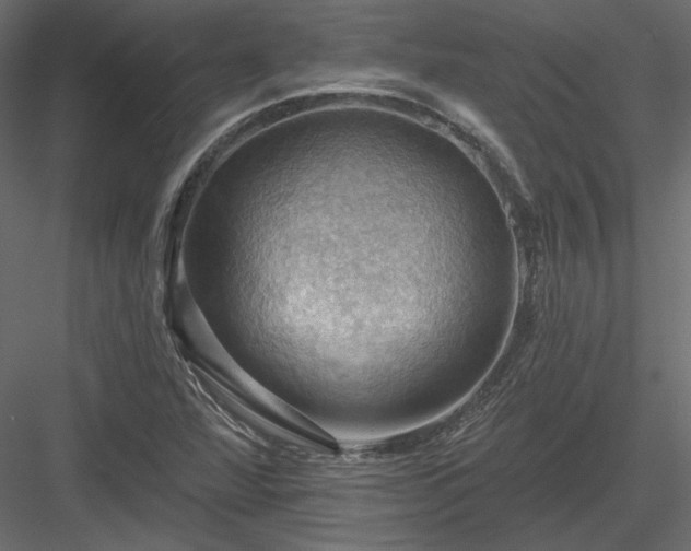 X0000083971360200702232007