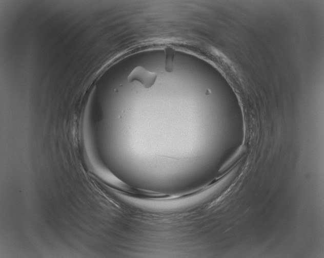 X0000083971361200702232007
