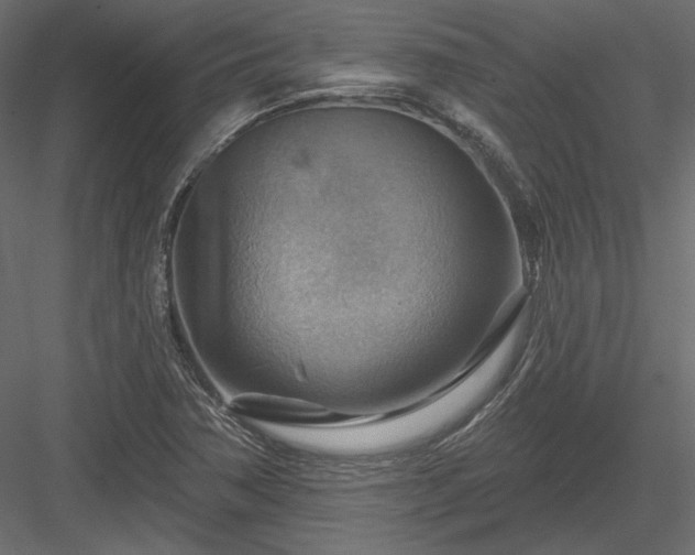 X0000083971362200702232007