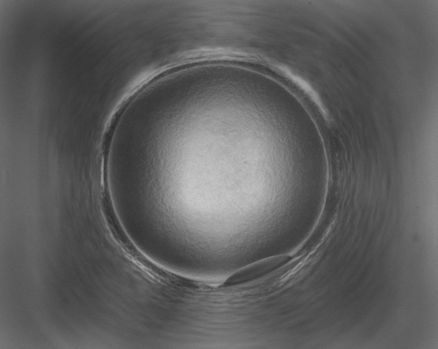 X0000083971365200702232006