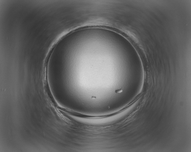 X0000083971366200702232006