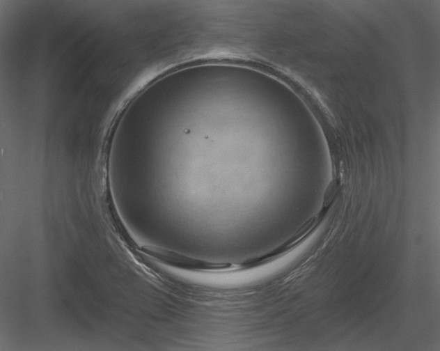 X0000083971367200702232006
