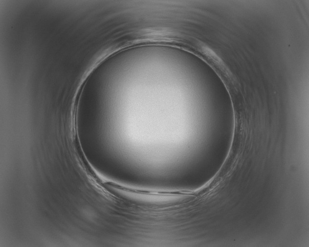 X0000083971370200702232006