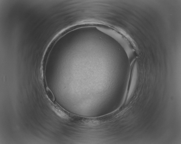 X0000083971372200702232006